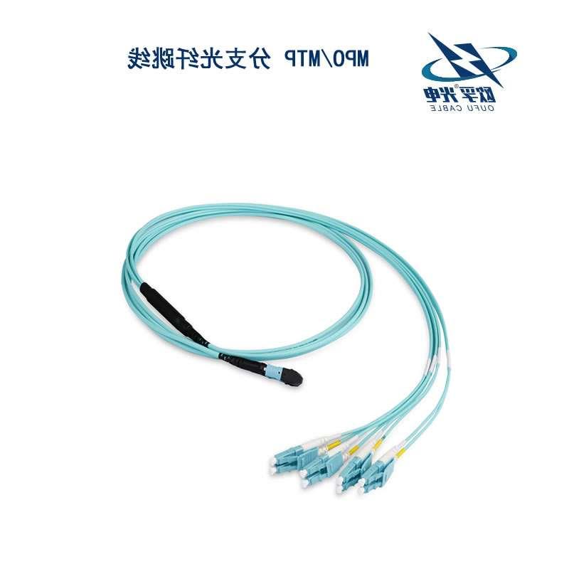 贵阳市MPO/MTP 分支光纤跳线