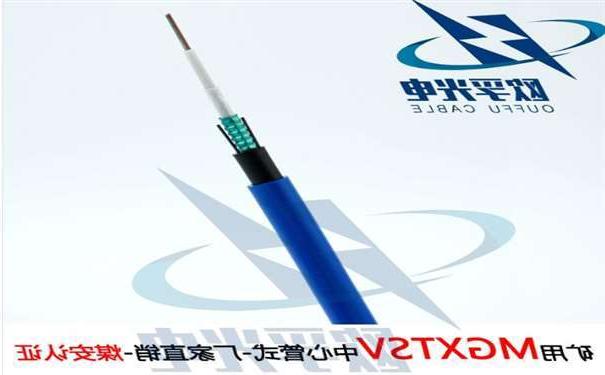 阿坝藏族羌族自治州欧孚MGXTSV-8B1 矿用单模阻燃光缆G652D纤芯煤安证书