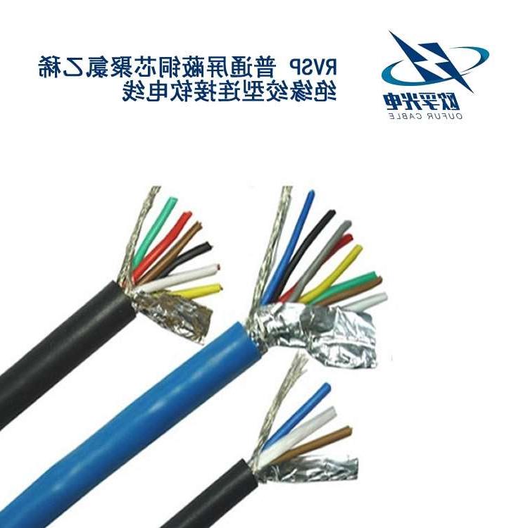 广西RVSP电缆
